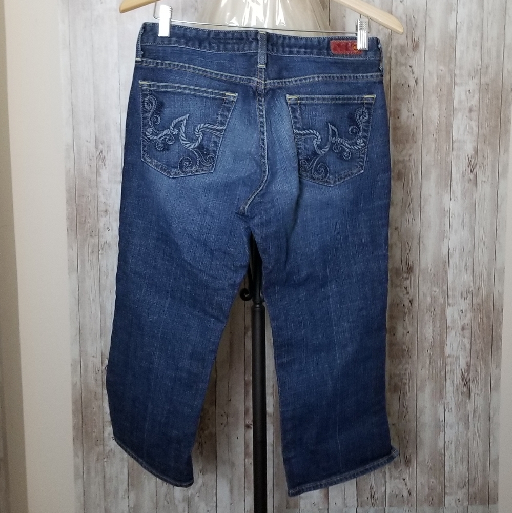 AG Adriano Goldschmied Crop Jean 30R/10